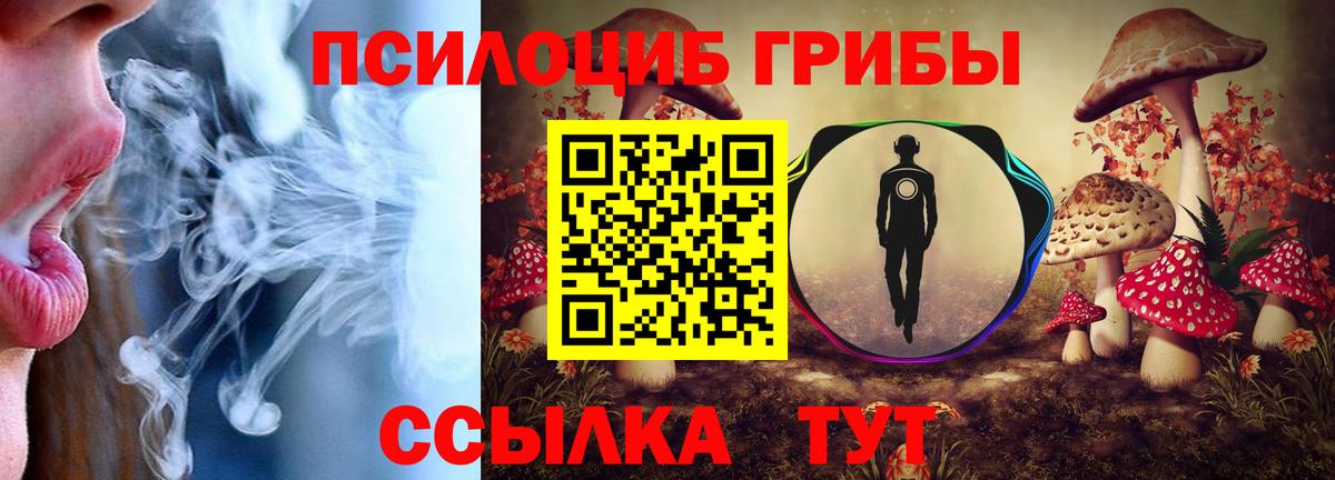 цена   Псилоцибиновые грибы Magic Shrooms  Вход с VPN  Отрадный 